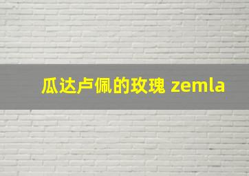 瓜达卢佩的玫瑰 zemla